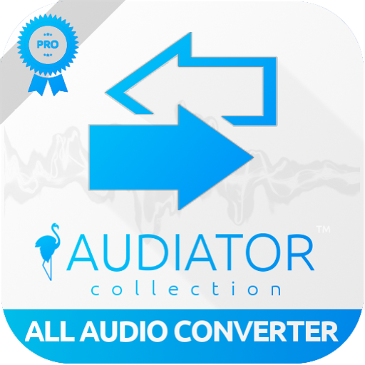 All Video Audio Converter