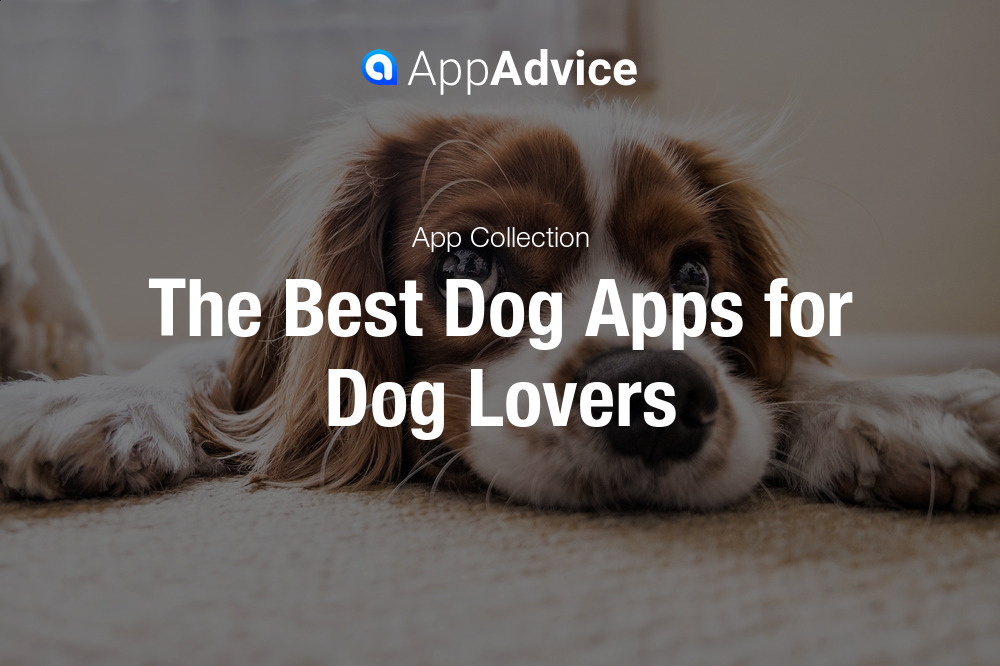 Best Dog Apps for Dog Lovers